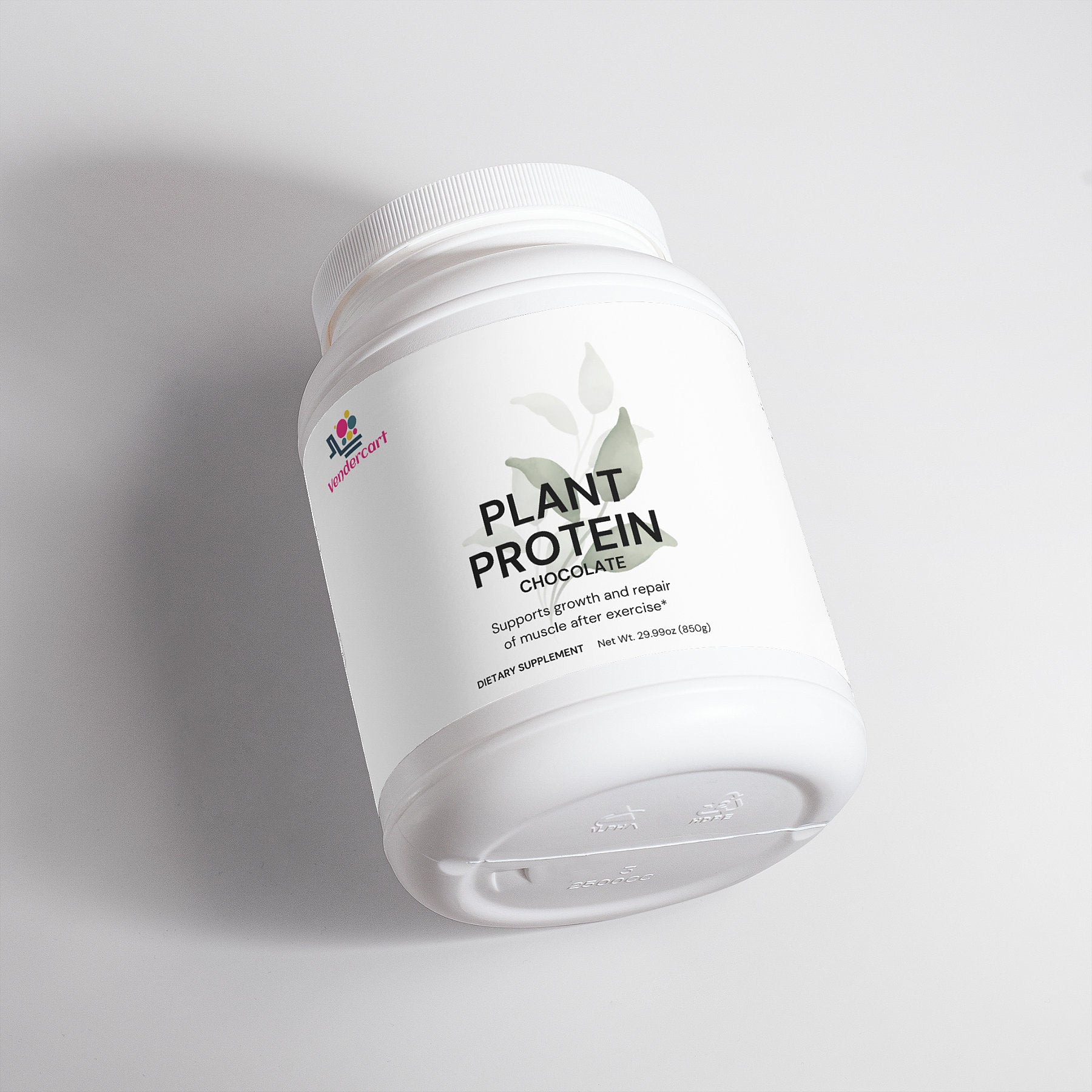 Plant Protein Chocolate Protein