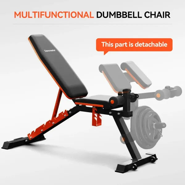 DAV Adjustable Preacher Curl Weight Bench